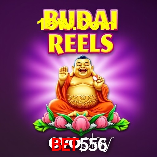 Experiência VIP Bet556